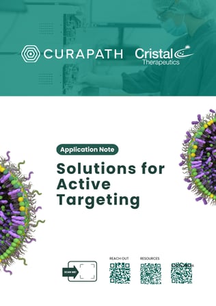 Solutions for Active Targeting (1).pptx